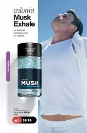 Catálogo AVON Página 81