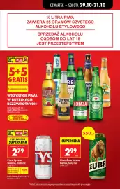 Biedronka gazetka Strona 13