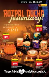 Biedronka gazetka Strona 19