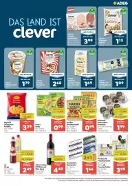 ADEG Flugblatt woche 45 Seite 5: Knorr Basis €0,99, Recheis Teigwaren Familie €3,29