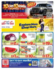 Day To Day catalogue Page 2: Red Onions €2,99, Golden Phoenix Frozen Chicken Griller €9,99