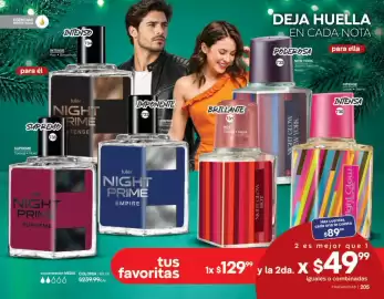 Catálogo Fuller Página 105