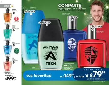Catálogo Fuller Página 107: Victory28 brown €740,00, Victory88 Red Toronja Cardamomo €199,99