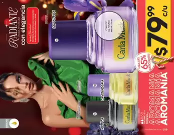 Catálogo Fuller Página 112