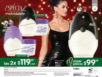 Catálogo Fuller Página 115