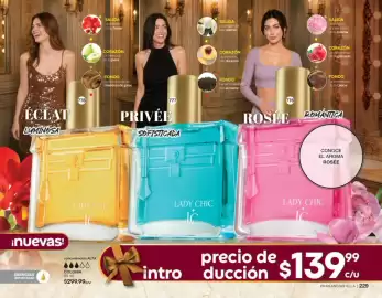 Catálogo Fuller Página 117: Lady chic éclat luminosa privéé sofisticada rosée romántica €139,99
