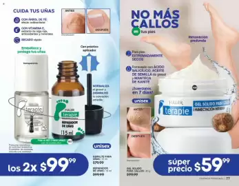 Catálogo Fuller Página 40