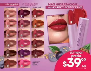 Catálogo Fuller Página 82