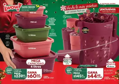 Catálogo Fuller Página 8