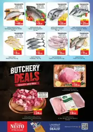 Nesto catalogue Page 17