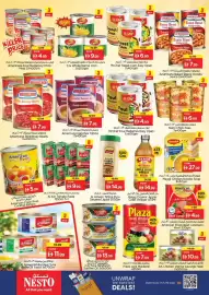 Nesto catalogue Page 7