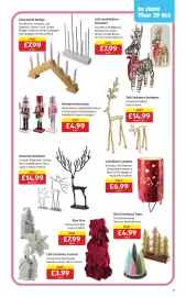 Aldi leaflet Page 13