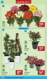 ALDI (geldig t/m 8-11)
