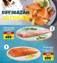 Interspar akciós újság hét 44 Oldal 8: Africkai harcsafilé €499,00, Norvég lazacfilé €699,00