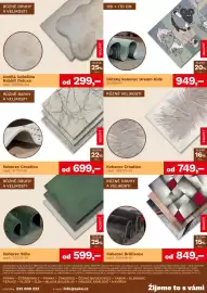 Asko leták Strana 5: Různé druhy a velikosti €399,00, Koberec Creation €699,00
