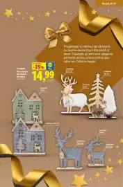 Catalog Lidl Pagină 13