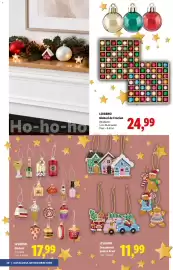 Catalog Lidl Pagină 30