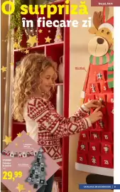Catalog Lidl Pagină 31