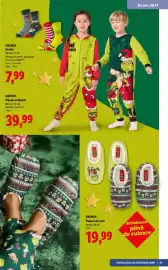 Catalog Lidl Pagină 43