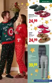 Catalog Lidl Pagină 47