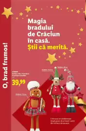 Catalog Lidl Pagină 50