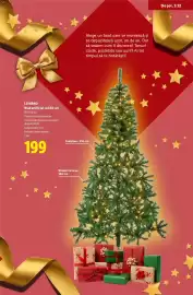 Catalog Lidl Pagină 51