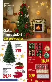 Catalog Lidl Pagină 52