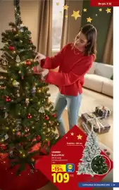 Catalog Lidl Pagină 53