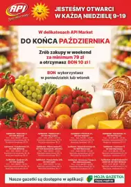API MARKET gazetka tydzień 44 Strona 16