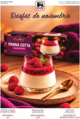 Catalog Mega Image (valid până la 30-11)