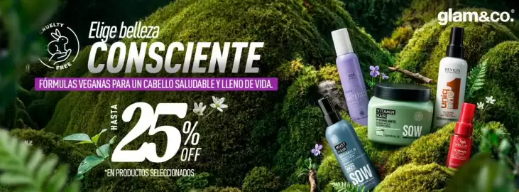 Catálogo Glam & Co Página 2