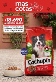 Catálogo Super Bodega a Cuenta Página 2: Cachupin - alimento seco adulto bolsa €18.690,00