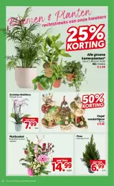Dekamarkt folder week 45 Pagina 22: Orchidee Multiflora €7,99, Picea €6,99