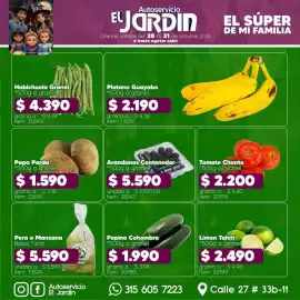 Catálogo Autoservicio El Jardín Página 11