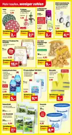 Thomas Philipps Prospekt Seite 17: Lufterfrischer Nachfüller €2,00