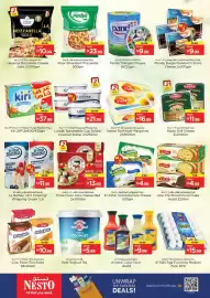 Nesto catalogue Page 14