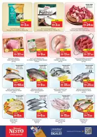 Nesto catalogue Page 16