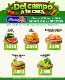 Catálogo Mercamio Página 4