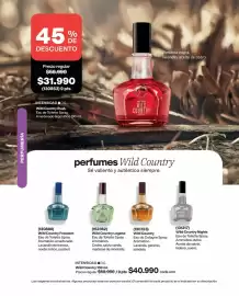 Catálogo Avon Página 100