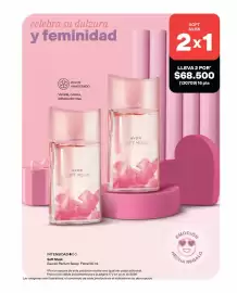 Catálogo Avon Página 17
