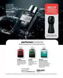 Catálogo Avon Página 97