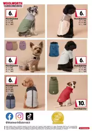 Woolworth Prospekt Seite 32: Hundejacke €6,00
