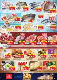 Nesto catalogue Page 13