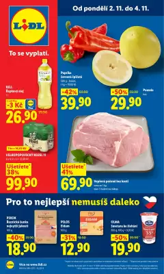 Lidl leták (platné do 4-11)