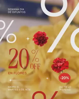 Catálogo Diarca (válido hasta 5-11)