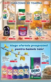Catalog Selgros Pagină 19: Somat all in 1 extra tabs €79,99, Persil detergent automat pudră pentru rufe €38,99