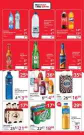 Catalog Selgros Pagină 13