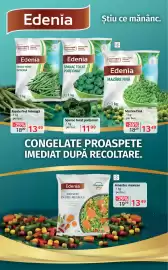 Catalog Selgros Pagină 6