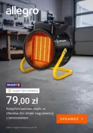 Allegro gazetka tydzień 44 Strona 1: Nagrzewnica z termostatem Lehmann €79,00