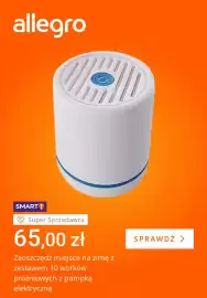 Allegro gazetka tydzień 44 Strona 4: Zestaw 10 worków próżniowych z pompką elektryczną €65,00